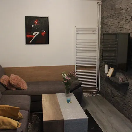 Apartment Sara Visnjan